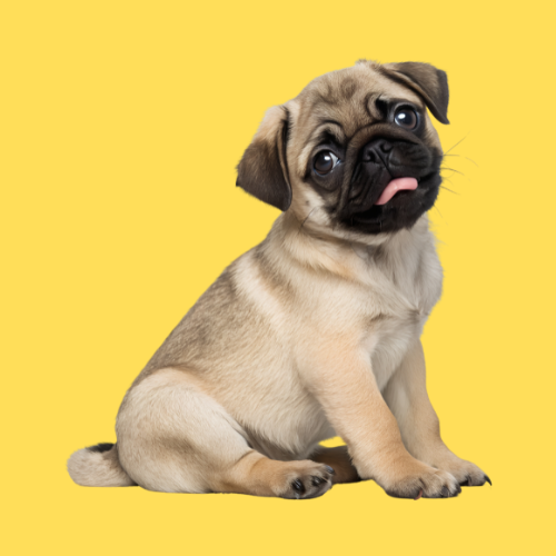 Código limpio y ordenado